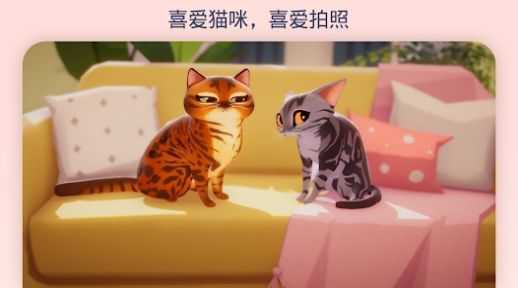 我的猫咪俱乐部