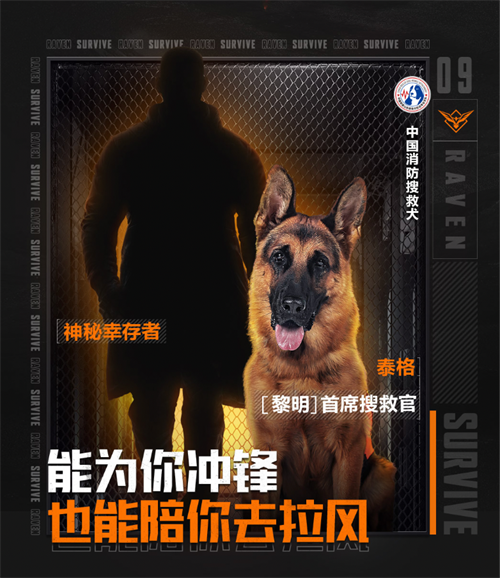 《黎明觉醒：生机》来了一位新成员！中国消防搜救犬泰格出任黎明首席搜救官