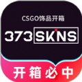 373Skins开箱