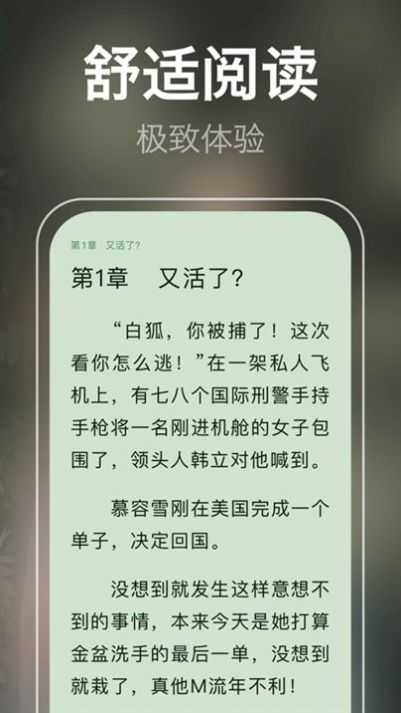 泉涩小说