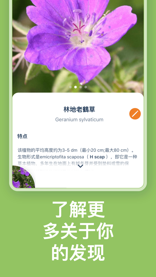 Flora Incognita植物识别